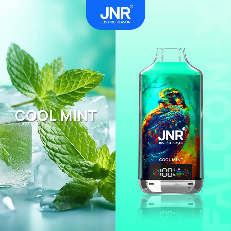 JNR Falcon 18000 Puffs  Disposeable vape | 2% Low Nicotine Salt Nic Vape Starter Kit with Smart Digital Display | Fast EU Delivery group 1 image 3